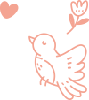 body bird Web and Films
