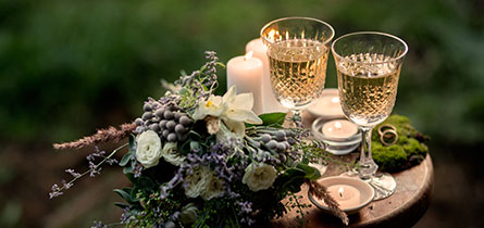 sec5 wine Web and Films