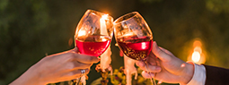 wine Web and Films